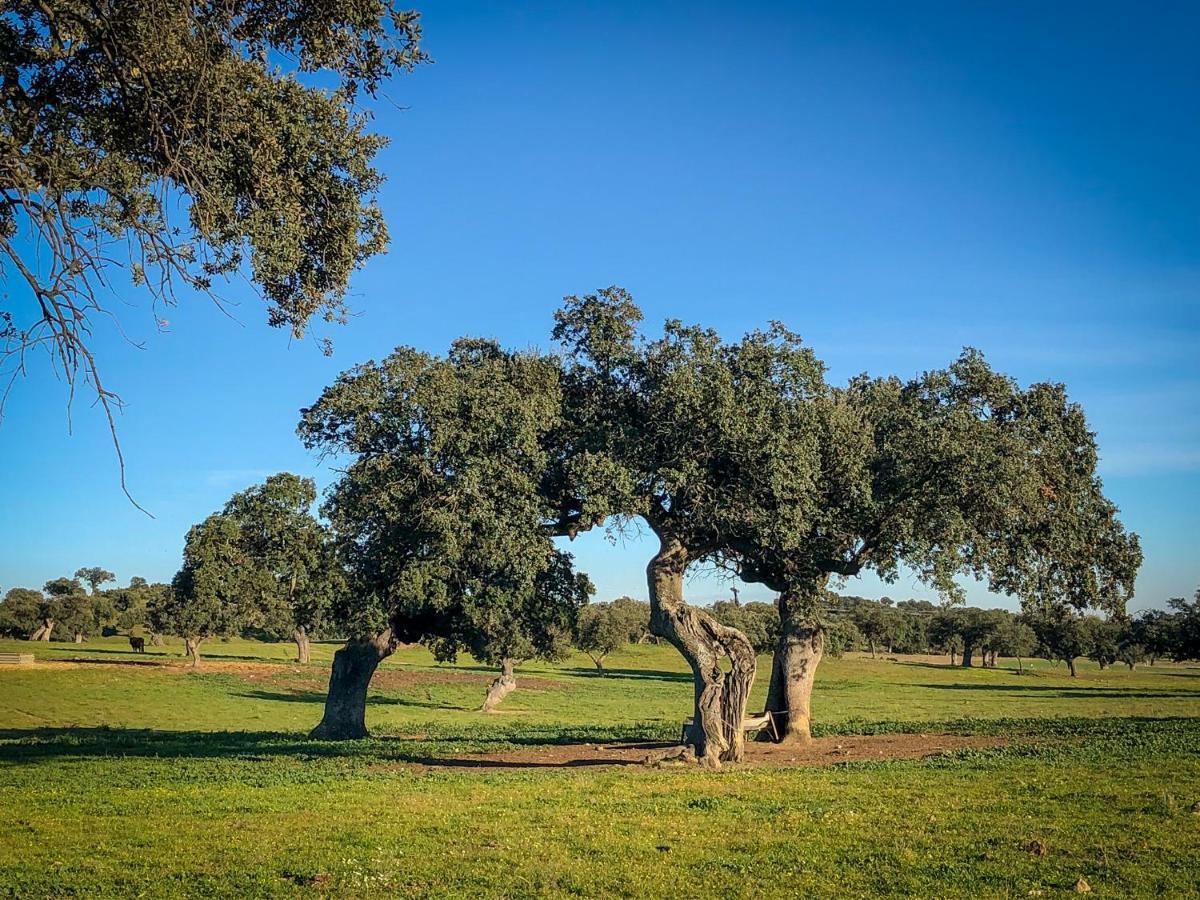 La Hermandad De Villalba Villalba de los Barros 외부 사진