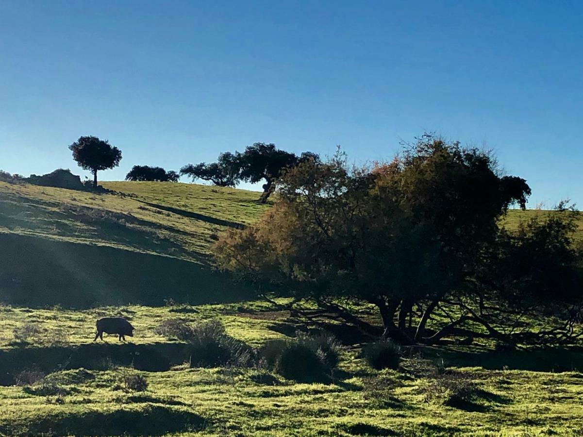 La Hermandad De Villalba Villalba de los Barros 외부 사진